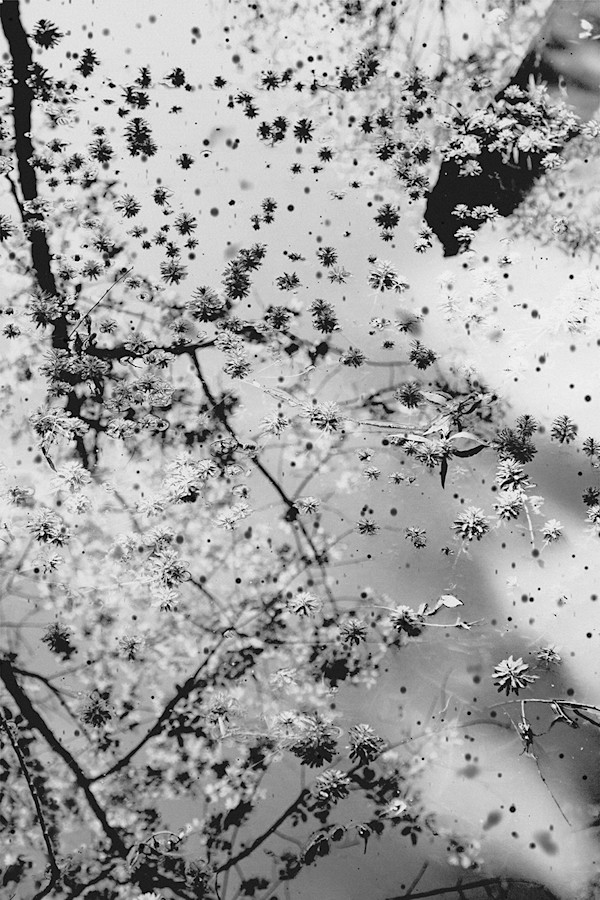 The Unlikely Possibility of Disappearing: No.21: The Surface of Now by Margaret Inga Urías