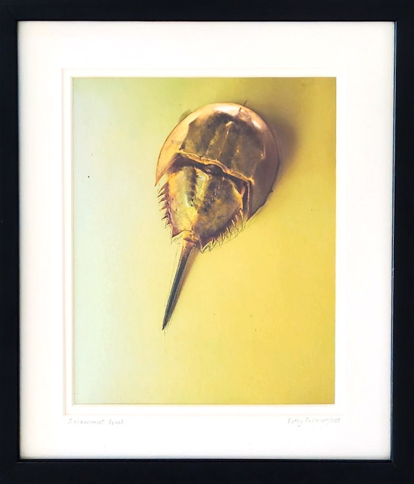 Sciasconset Beach by Betsy Palmieri