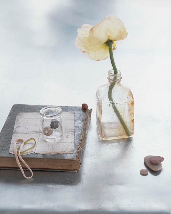 Poppy & Marbles by Rita Maas