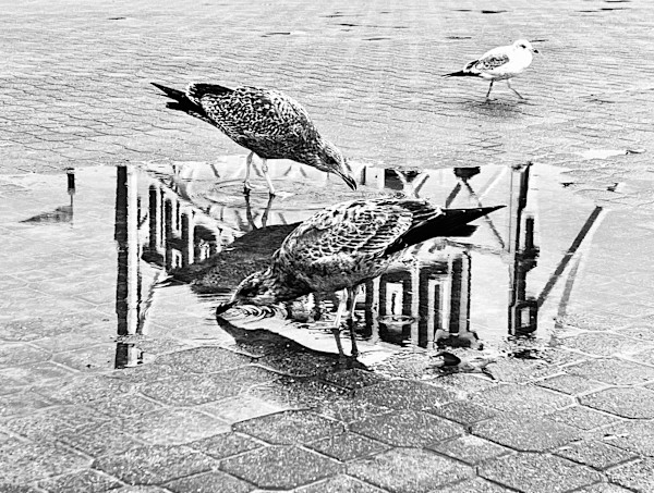 Me Myself I by Jennie Carr
