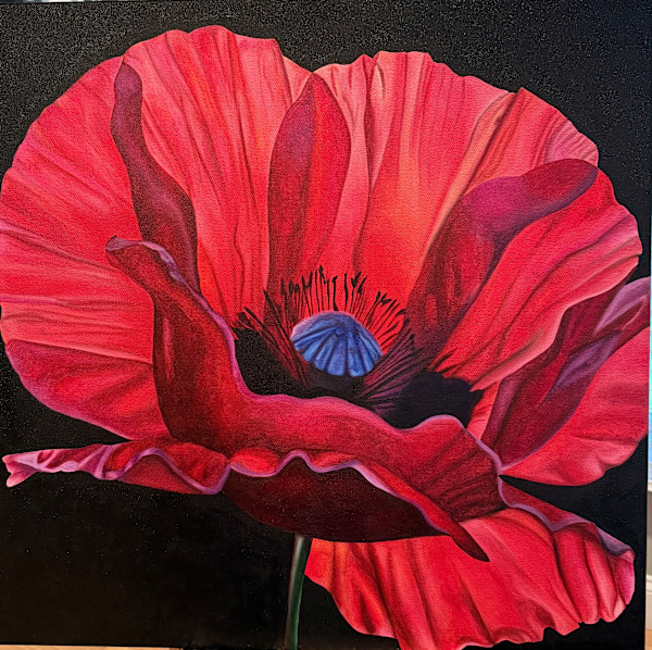 Poppy by Liz Green