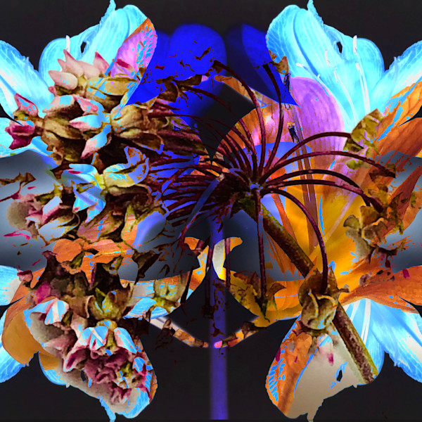 Electric Bloom by Elizabeth Gourlay, Image 1.