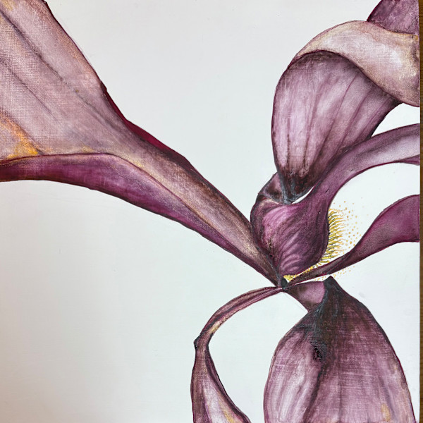 Swoon by Molly Felde