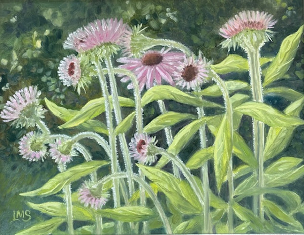 Early Summer Coneflowers by Lynn Slonaker