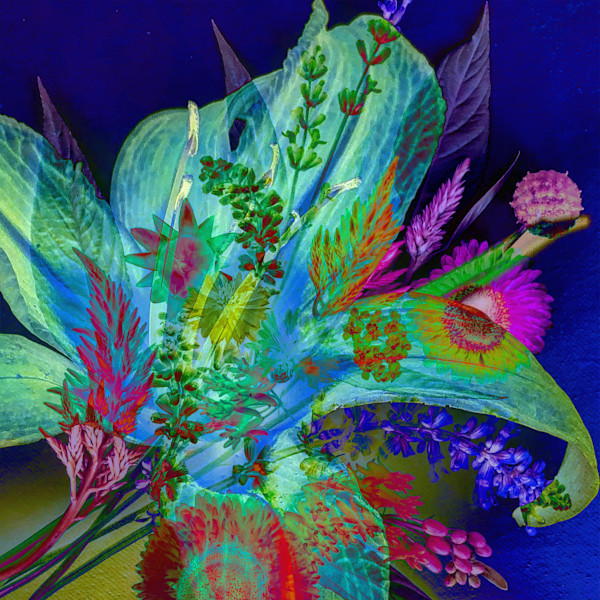 Neon Tranquility by Elizabeth Gourlay