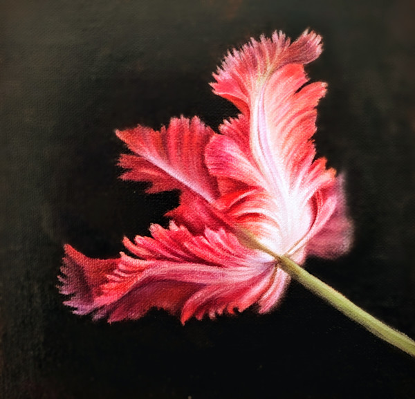 Fringe Effect by Sophie Reisz