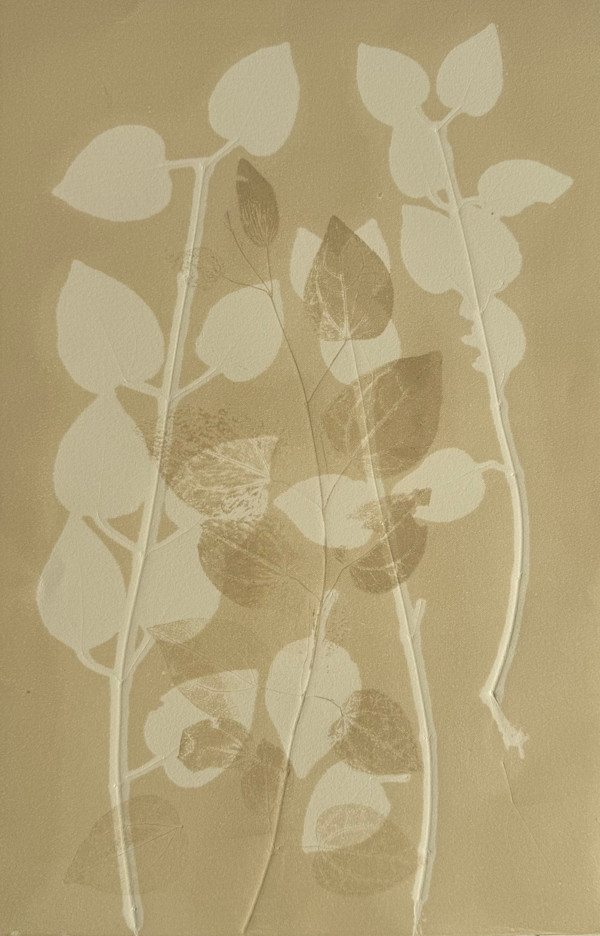 Katsura by Sally Frank
