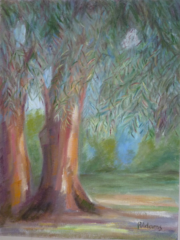 Eucaliptus JR Park II by Rita Adams