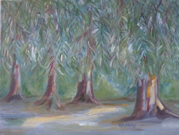 Eucaliptus JR Park by Rita Adams