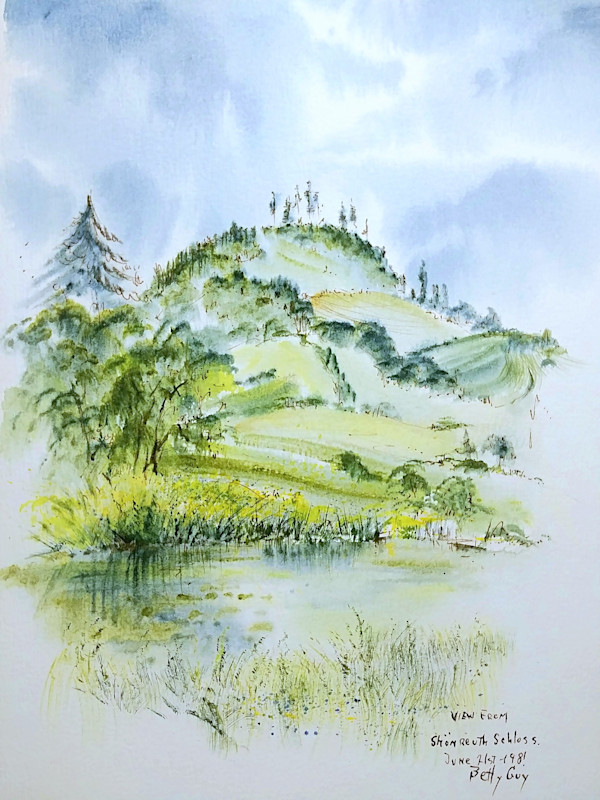 View From Shonreuth Schloss by Betty Guy