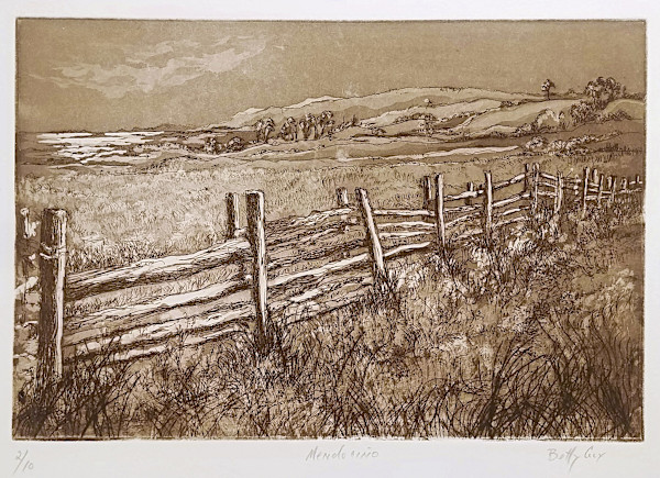 Mendocino by Betty Guy
