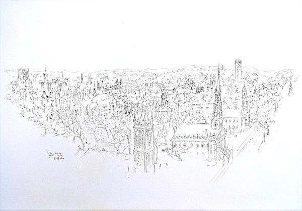 New Haven by Betty Guy