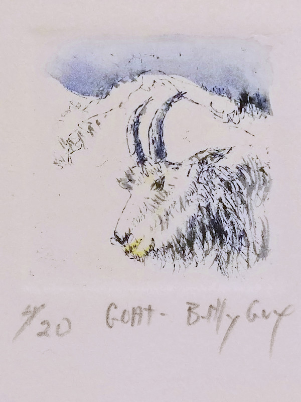 Goat by Betty Guy