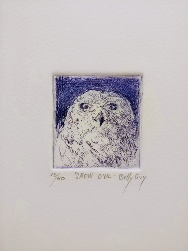 Snow Owl by Betty Guy