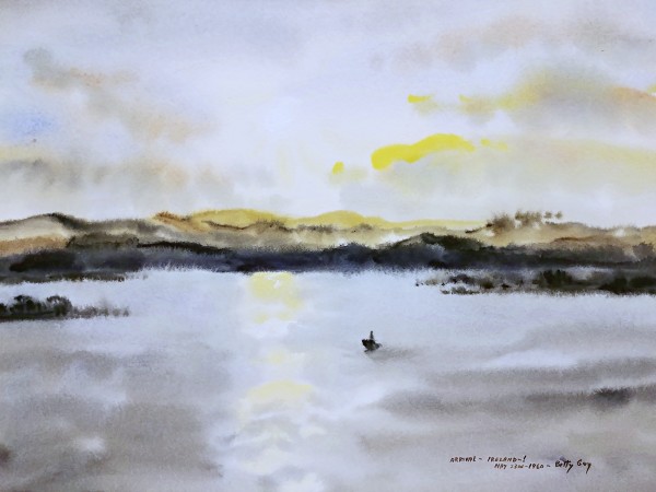 Arrival Ireland! by Betty Guy