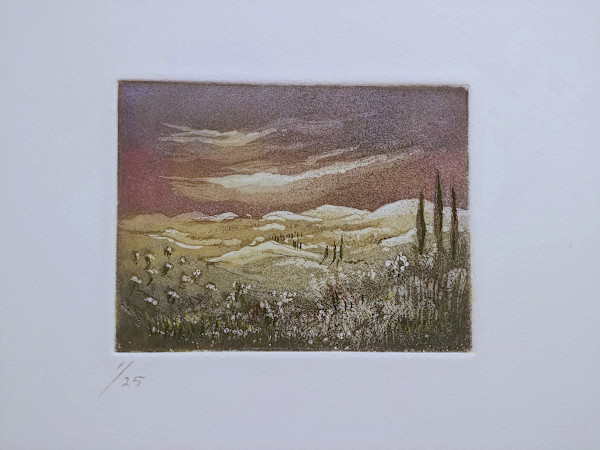 Untitled (from the series "Mount of Olives") by Betty Guy