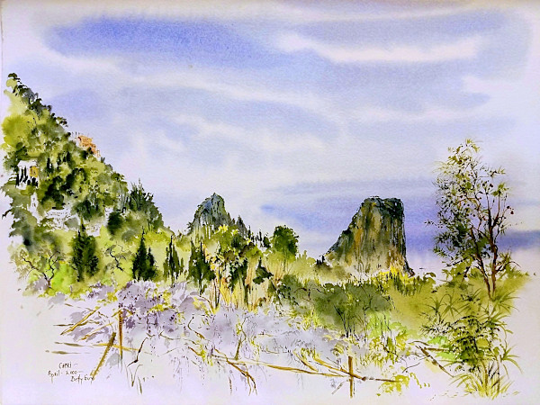 Capri by Betty Guy