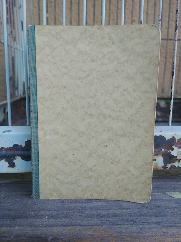 Journal 4 by Betty Guy