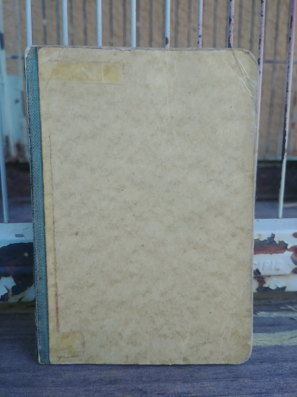Journal 5 by Betty Guy