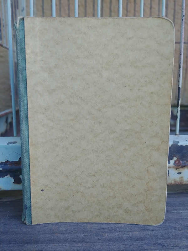 Journal 6 by Betty Guy