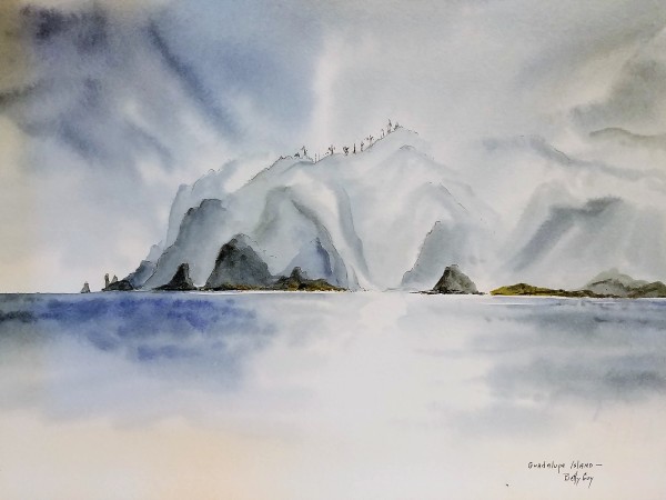 Guadalupe Island by Betty Guy