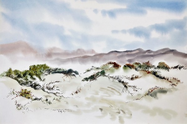 Baja California-Mexico by Betty Guy