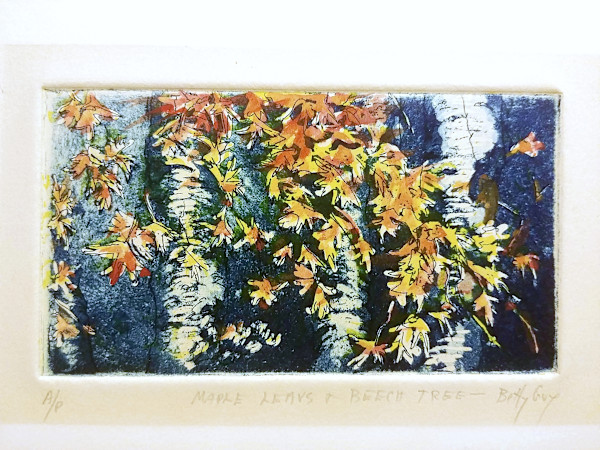 Maple Leaves + Beech Tree by Betty Guy