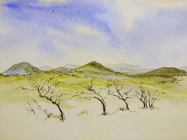 Untitled by Betty Guy