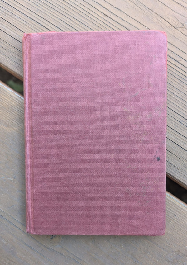 Journal 36 by Betty Guy