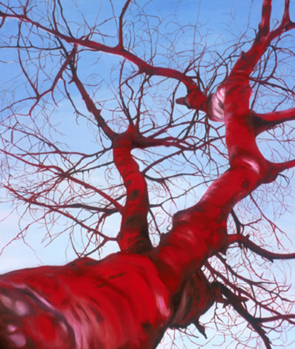 Branching by Wren Woodward Sarrow, Image 1.