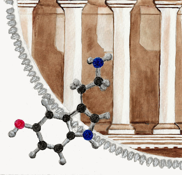 Hormone Circle: Serotonin by Wren Woodward Sarrow, Image 1.
