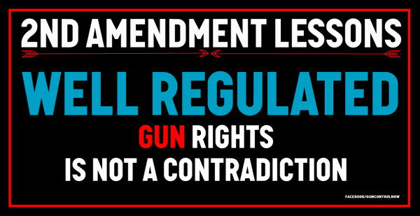 Well Regulated 2nd Amendment Lessons by Wren Sarrow