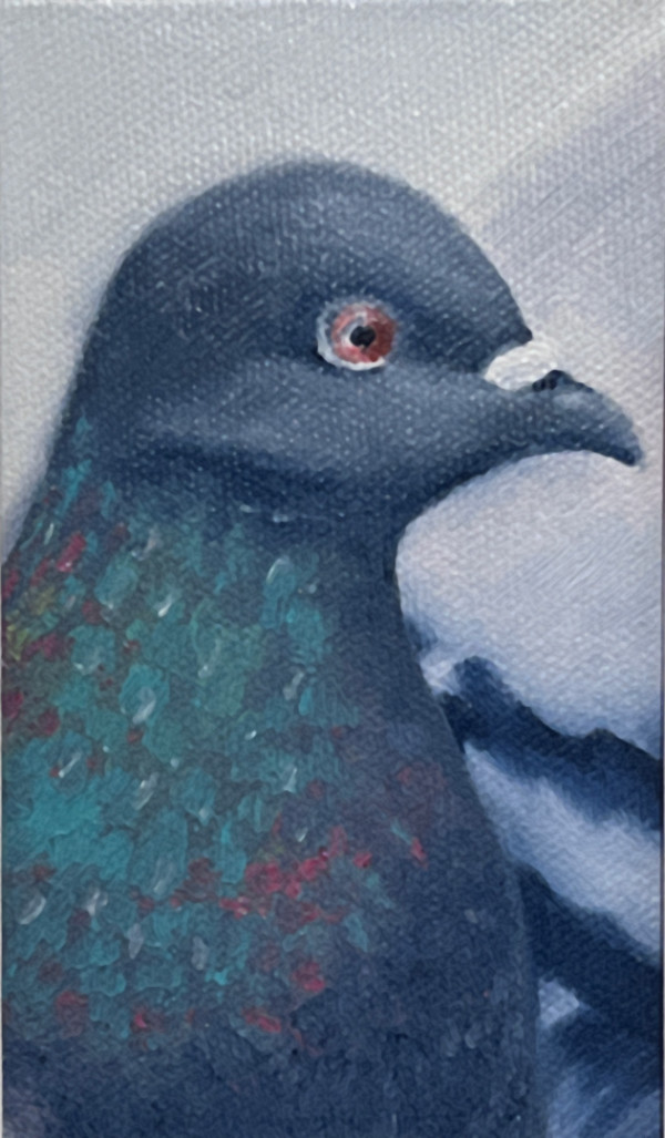 Portrait of a pigeon by Wren Sarrow