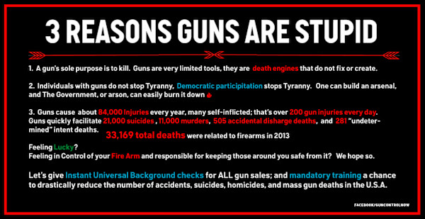 3 Reasons Guns Are Stupid by Wren Sarrow