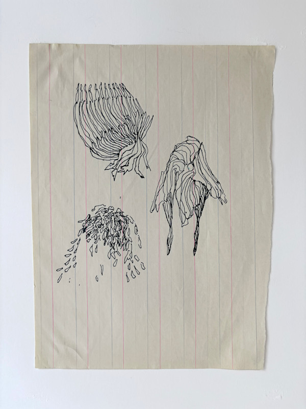 3 Forms by Marisa Tesauro, Image 2.