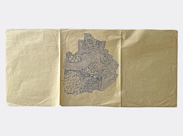 Sketch for Field Installation by Marisa Tesauro