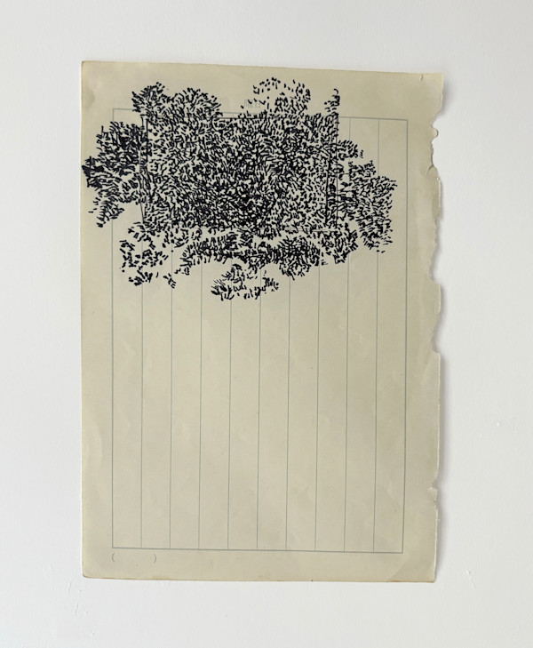 Follia by Marisa Tesauro, Image 2.