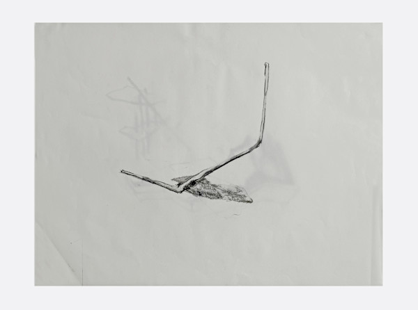 Remnants, Material Traces by Marisa Tesauro