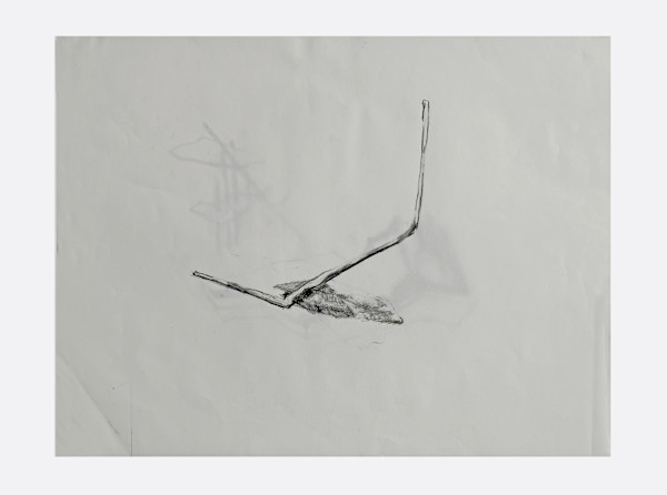 Remnants, Material Traces by Marisa Tesauro