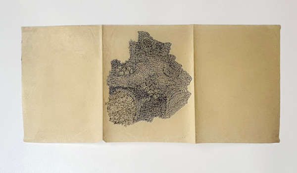Sketch for Field Installation by Marisa Tesauro