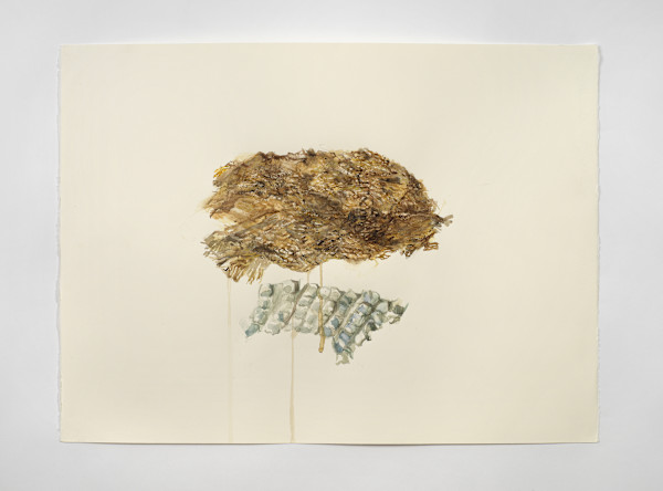 Waste Cloud Descending by Marisa Tesauro
