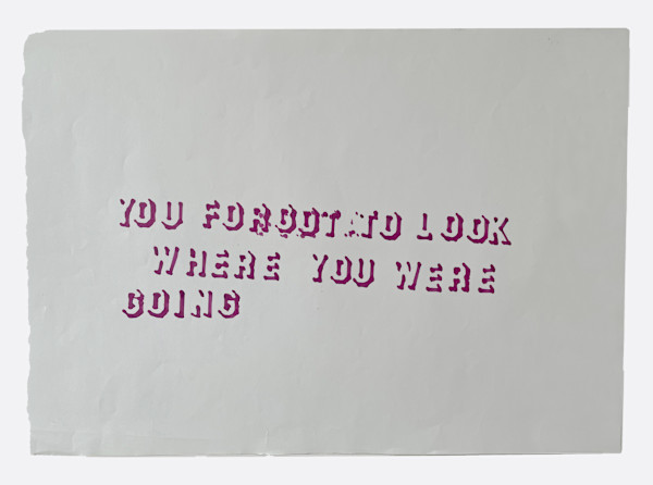 You Forgot To Look Where You Were Going by Marisa Tesauro
