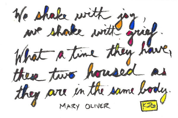 We shake with joy, we shake with grief by Karen J Gimbel