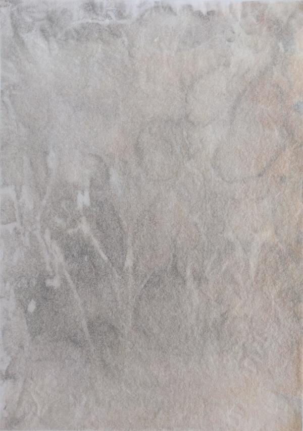 03a.S.2019 by Grith Stagaard