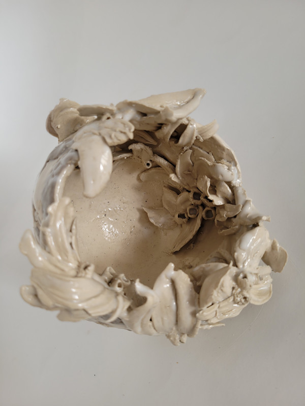 Brave - open seeds by Philippa Mollet
