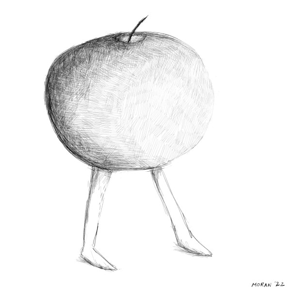 My Life Inside the Apple by Craig Moran