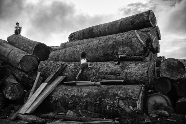 Lumberjacks by Calvin Chen