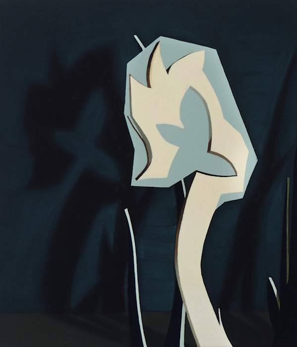 Monos by Noah Kauertz, Image 1.