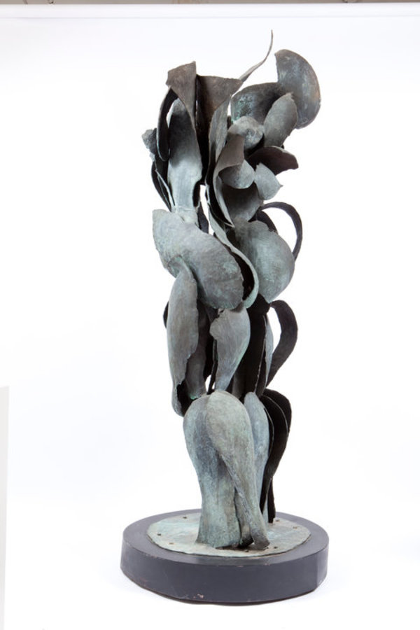 Amazons by Ruth Aizuss Migdal