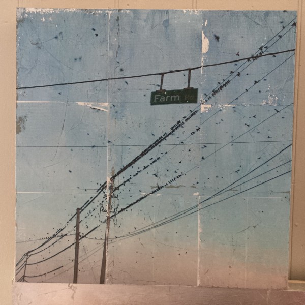 Farm Rd by Lisa Bertagna